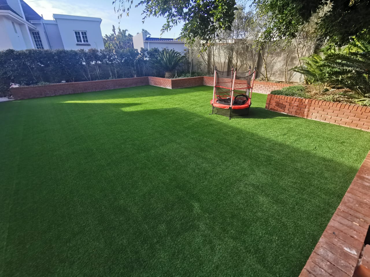 Beautiful grass landscape